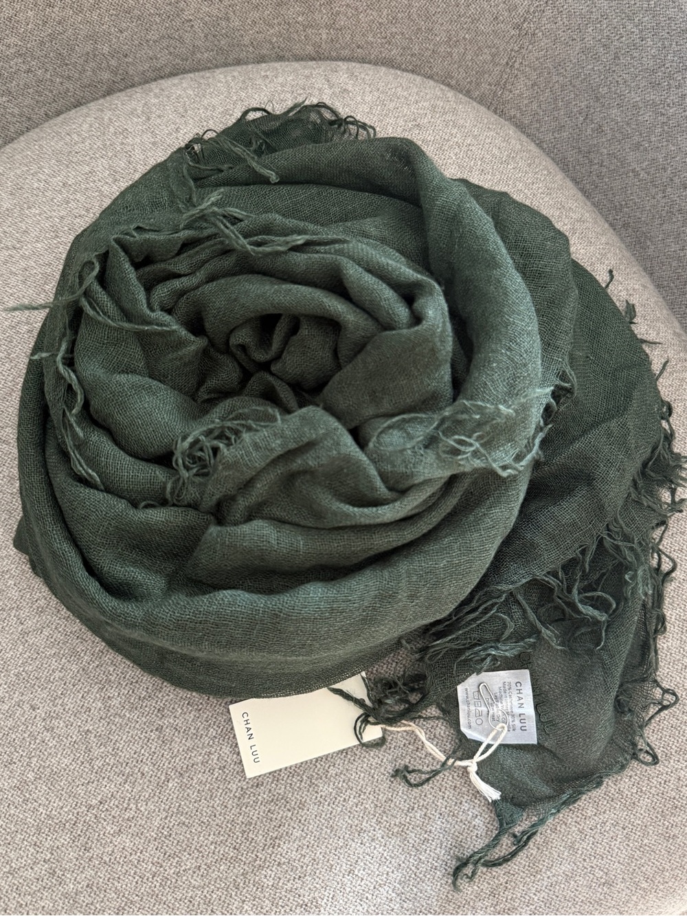 CHAN LUU Cashmere & Silk Scarf In Kombu Green